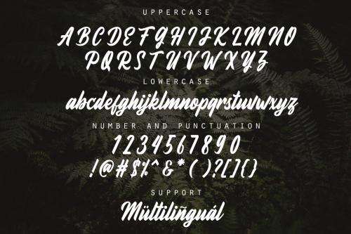 Fineberg Script Font