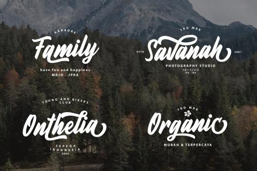 Fineberg Script Font