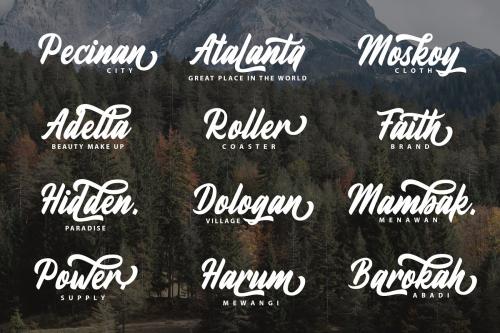 Fineberg Script Font