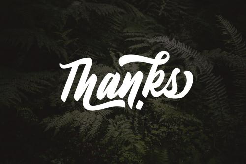 Fineberg Script Font