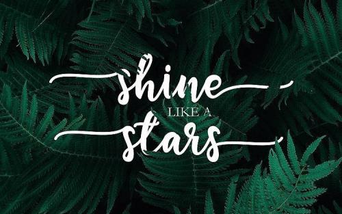 Flashlight Calligraphy Font