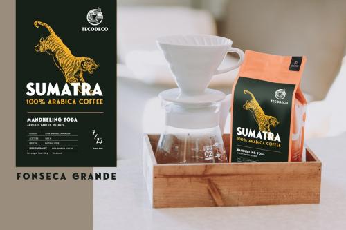Fonseca Grande Headline Font Duo
