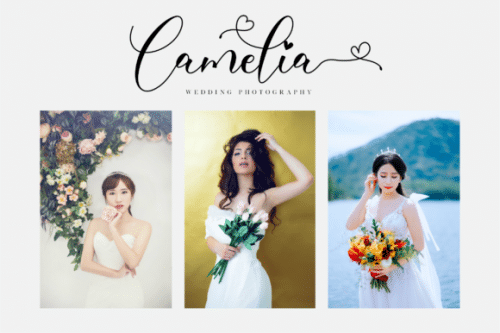 Freelove Calligraphy Font