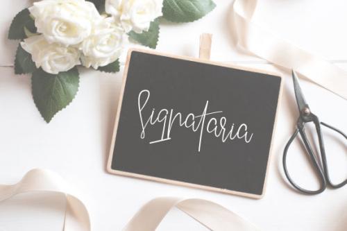 Friday Sunday Font Duo