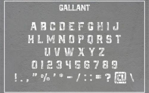 Gallant Display Font