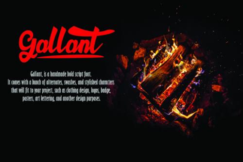 Gallant Handwritten Font