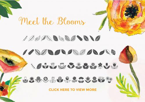Gardenia Script Font