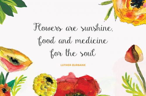 Gardenia Script Font