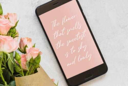 Gardenisa Script Font