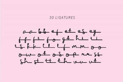 Garfield Script Font