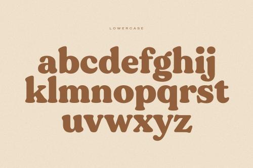 Gentle Serif Font