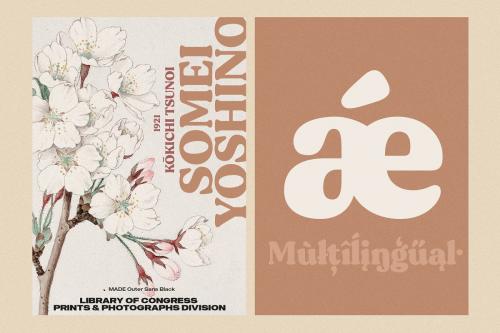 Gentle Serif Font