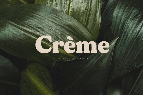 Gentle Serif Font
