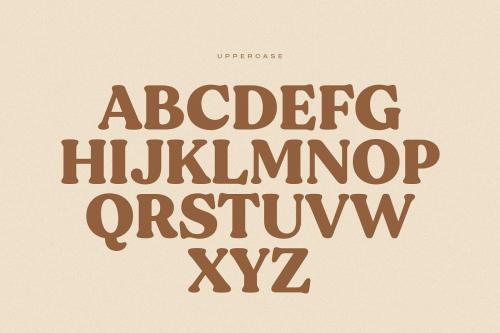 Gentle Serif Font