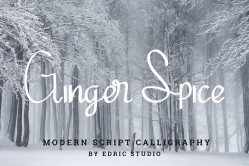 Ginger Spice Font