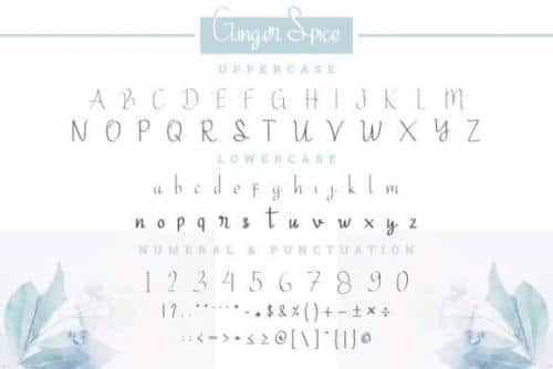 Ginger Spice Font