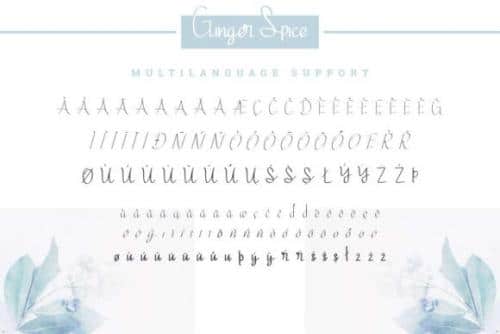 Ginger Spice Font