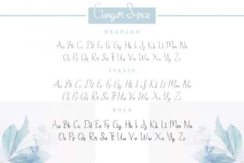 Ginger Spice Font
