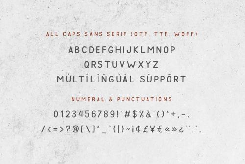 Golden Dream Script Font