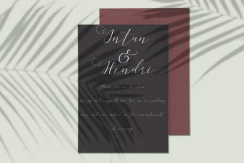 Golden Sea Calligraphy Font