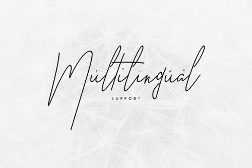 Good Wish Signature Font