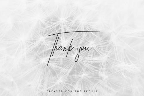 Good Wish Signature Font