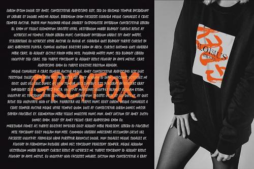 Greyfox Brush Font