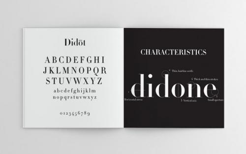 HTF Didot Font Family