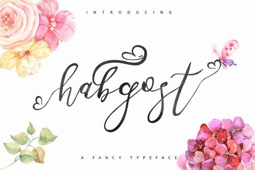 Habgost Script Font Free