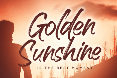 Handscript Brush Font