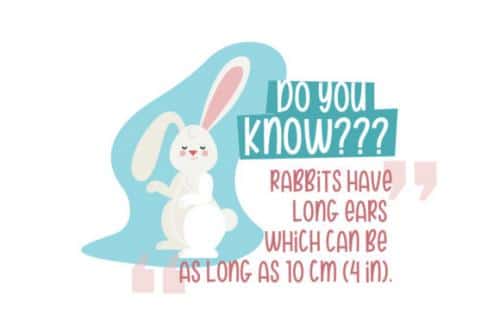 Hannie Bunny Display Font