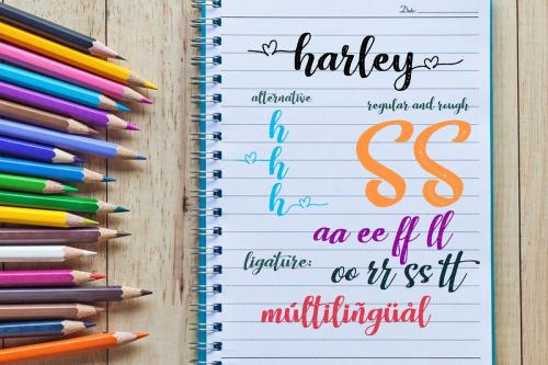 Harley Script Font