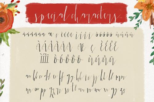 Harper Moe Script Font