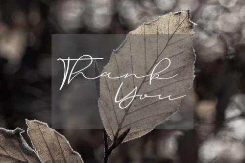Hatching Love Script Font