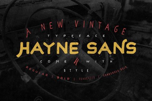 Hayne Script Clean Rough Font