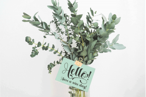 Heartbeat Script Family Font