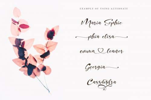 Dream of Heartland Calligraphy Font