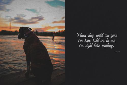 Heavenly Script Font