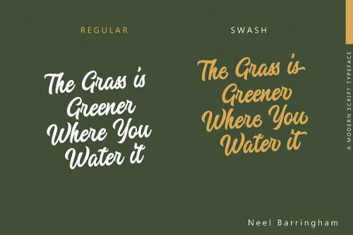 Hector Barbossa Script Font