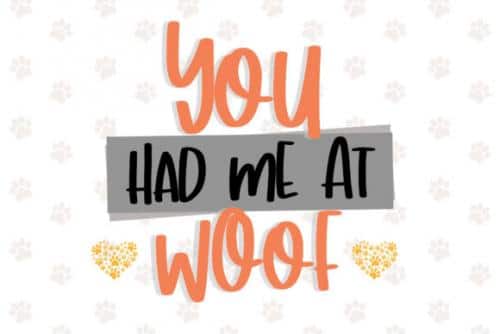 Hey Charlie Script Font