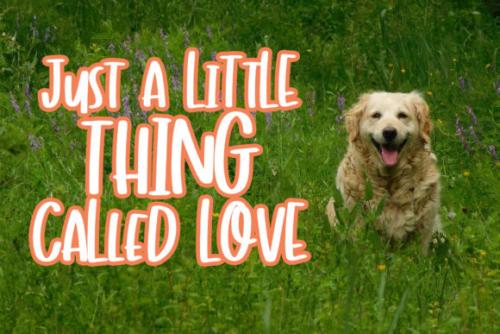 Hey Charlie Script Font