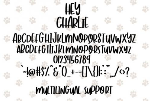 Hey Charlie Script Font