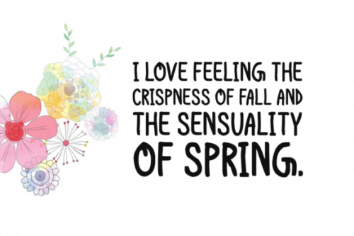 Hi Spring Font