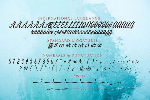 Hightide Calligraphy Font