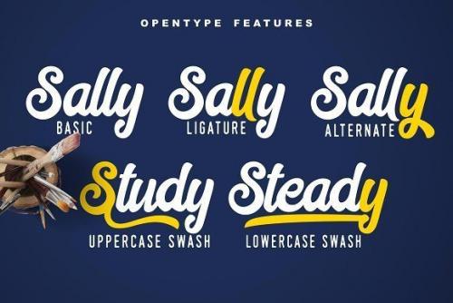 Hilton Script Font