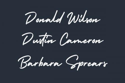 Holiday Bold Script Font