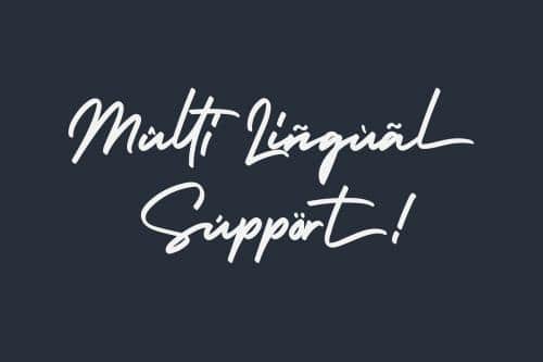Holiday Bold Script Font