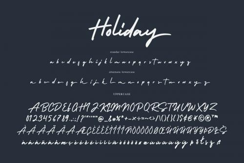 Holiday Bold Script Font