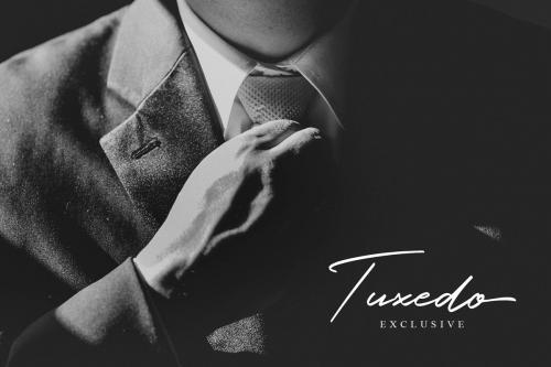 Holland Script Font