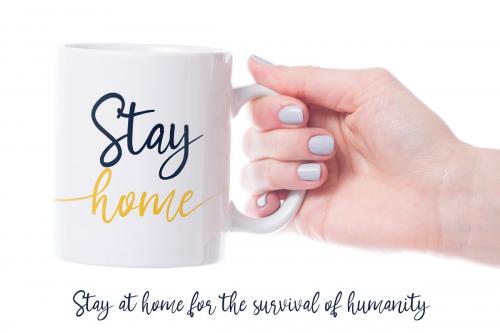 Hollister Calligraphy Font